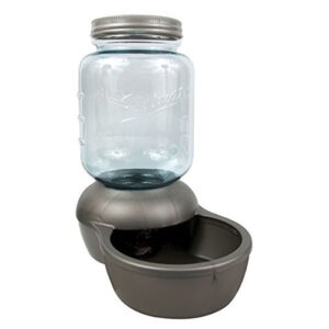 Petmate PM MASON REPLENDISH WTR 1GAL 6PK