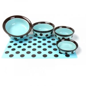 RW 7吋 PET DISH 06807