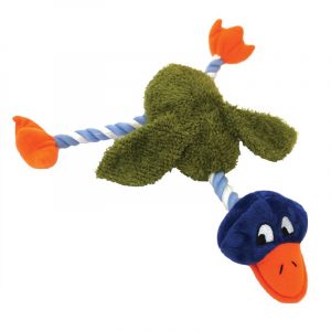 RW  DELIA DUCK 39014