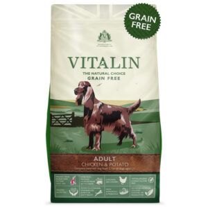 Vitalin Natural Adult Chicken & Potato 2kg VACP4X2