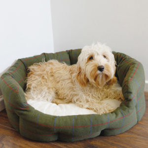 RW COUNTRY TWEED AND PLUSH 04342