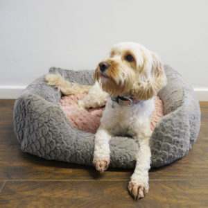 RW GREY AND PINK SQUARE BED 24IN 04405