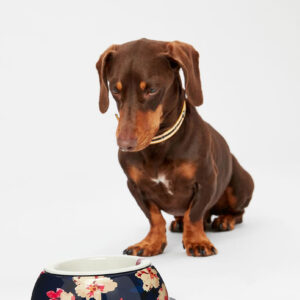 JOULES - BIRCHAM BLOOM DOG BOWL