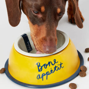 JOULES - 'BONE APETITE' DOG BOWL