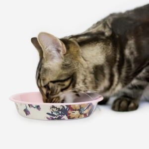 JOULES - CAMBRIDGE FLORAL CAT BOWL
