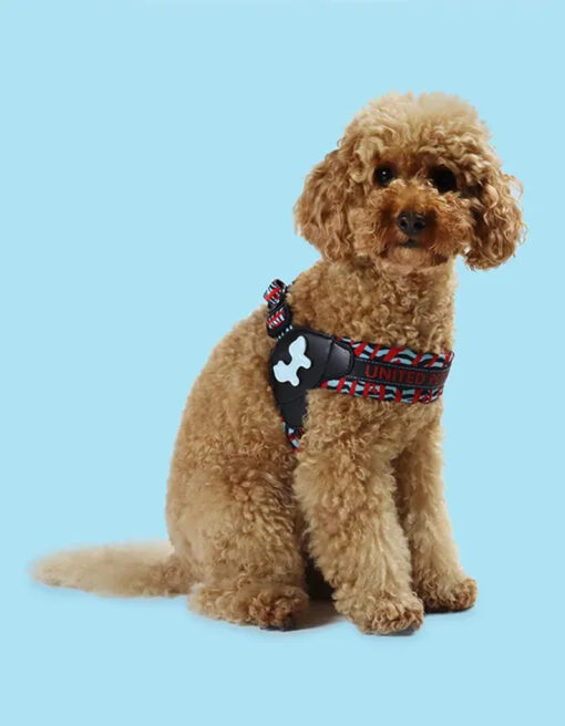 UP COMPLETE ME - Harness size Small 36 x 35/49cm  Black - Image 3