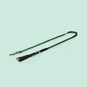 UP COMPLETE ME - Leash size Medium 20 x 1400 mm  Green
