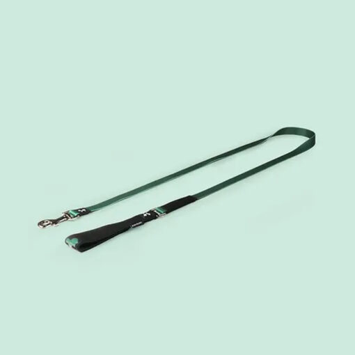 UP COMPLETE ME - Leash size Large 25 x 1200 mm  Green
